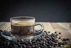 Cà Phê Robusta Là Gì?Lợi ích cà phê Robusta với sức khỏe